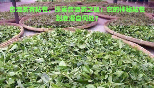 普洱茶有粘性，探索普洱茶之谜：它的神秘粘性到底源自何处？