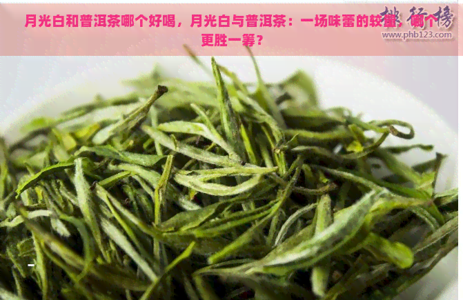 月光白和普洱茶哪个好喝，月光白与普洱茶：一场味蕾的较量，哪个更胜一筹？