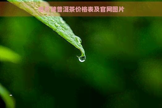 普秀牌普洱茶价格表及官网图片