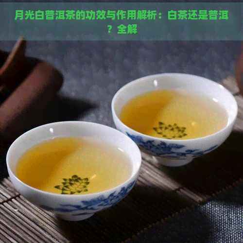 月光白普洱茶的功效与作用解析：白茶还是普洱？全解