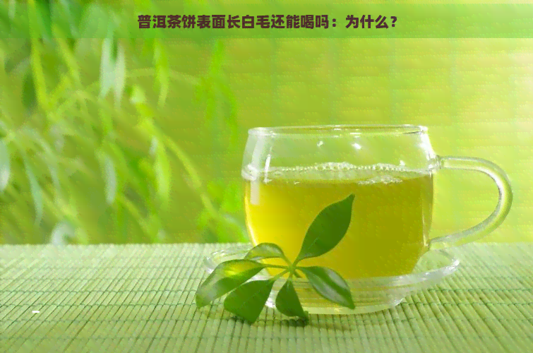 普洱茶饼表面长白毛还能喝吗：为什么？