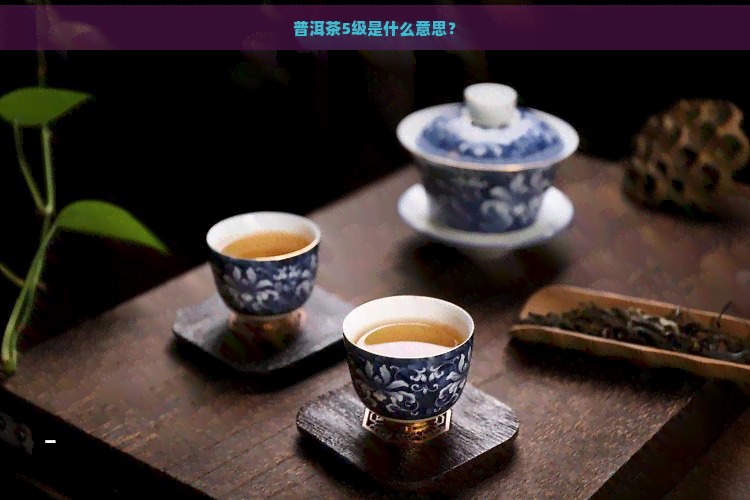 普洱茶5级是什么意思？