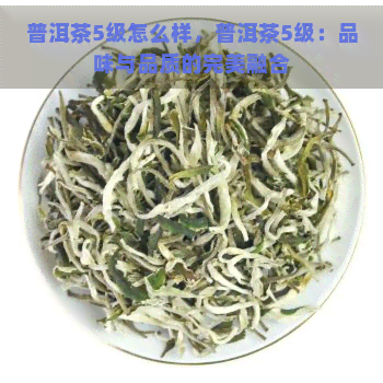 普洱茶5级怎么样，普洱茶5级：品味与品质的完美融合