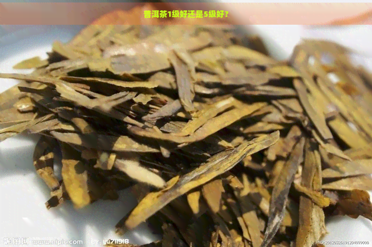 普洱茶1级好还是5级好？