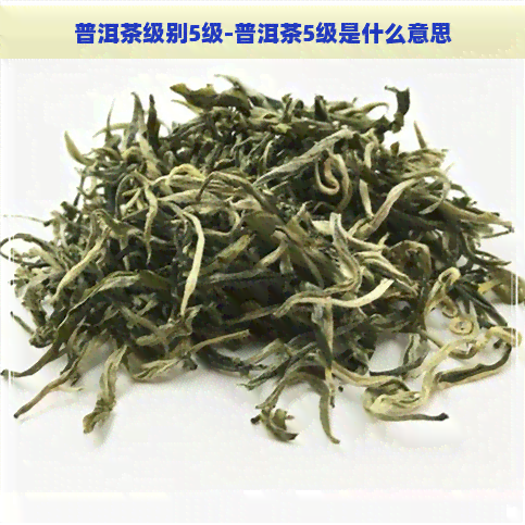 普洱茶级别5级-普洱茶5级是什么意思