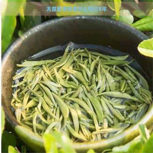 大益普洱茶是什么档次8年