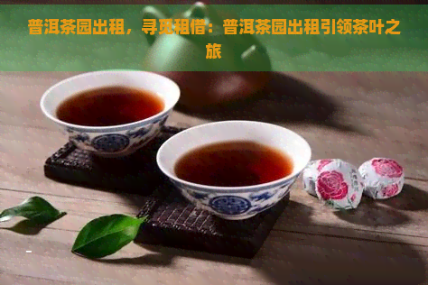 普洱茶园出租，寻觅租借：普洱茶园出租引领茶叶之旅