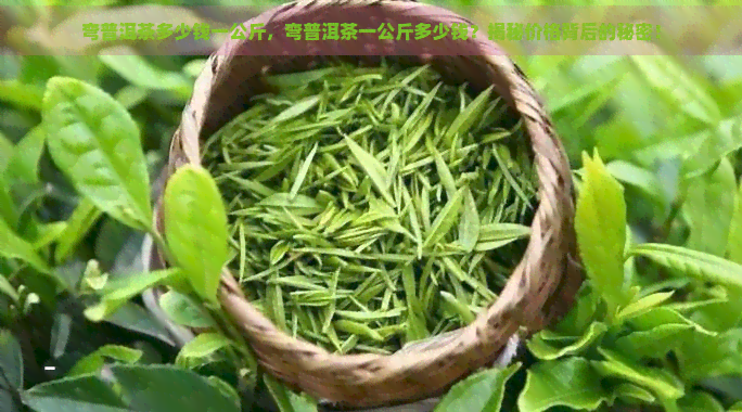 弯普洱茶多少钱一公斤，弯普洱茶一公斤多少钱？揭秘价格背后的秘密！