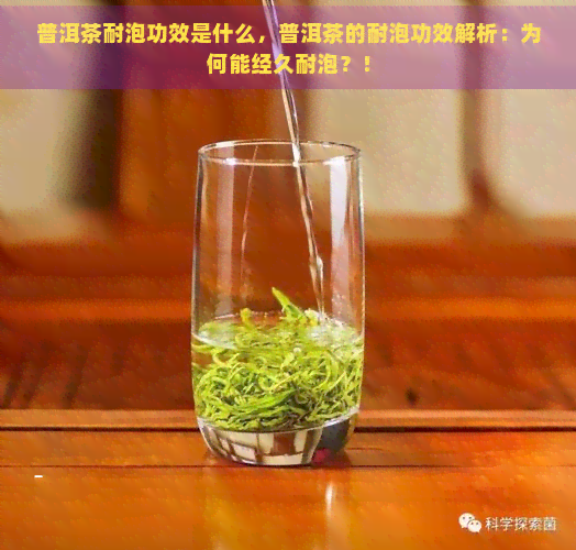 普洱茶耐泡功效是什么，普洱茶的耐泡功效解析：为何能经久耐泡？！