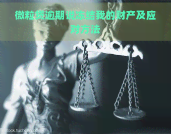 微粒贷逾期说冻结我的财产及应对方法