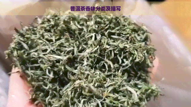 普洱茶香味分类及描写