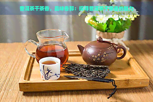 普洱茶干茶香，品味香醇：探寻普洱茶干茶香的魅力