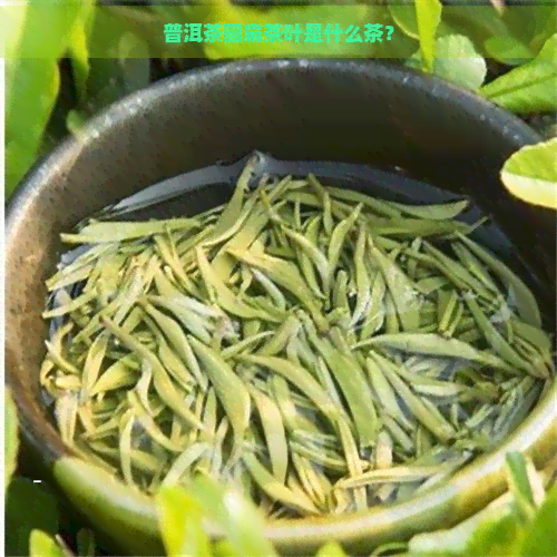 普洱茶圆扁茶叶是什么茶？