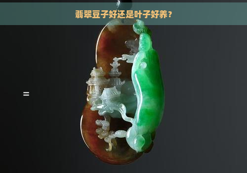 翡翠豆子好还是叶子好养？