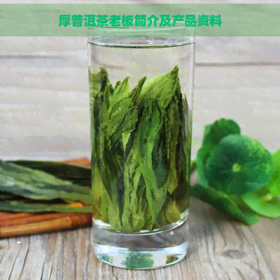 厚普洱茶老板简介及产品资料