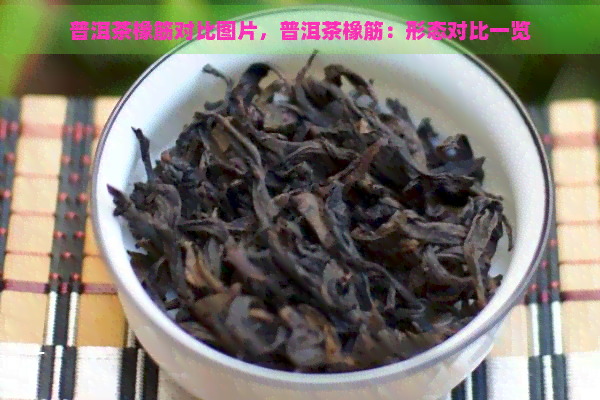 普洱茶橡筋对比图片，普洱茶橡筋：形态对比一览