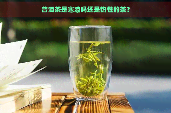 普洱茶是寒凉吗还是热性的茶？