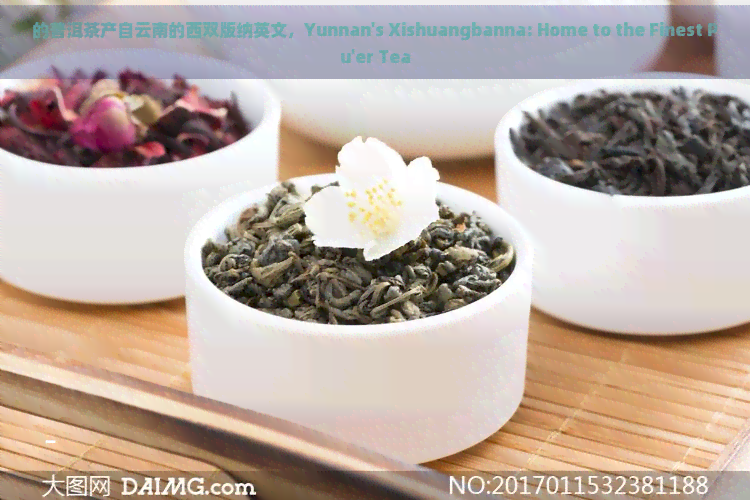 的普洱茶产自云南的西双版纳英文，Yunnan's Xishuangbanna: Home to the Finest Pu'er Tea