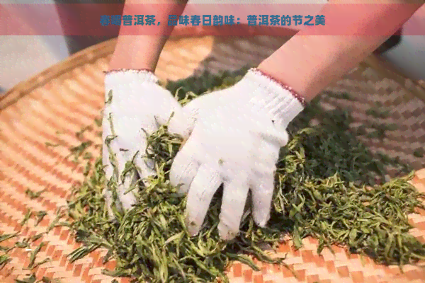 春喝普洱茶，品味春日韵味：普洱茶的节之美