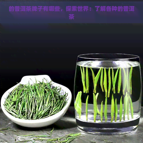 的普洱茶牌子有哪些，探索世界：了解各种的普洱茶