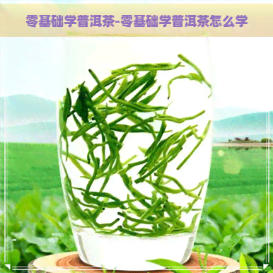 零基础学普洱茶-零基础学普洱茶怎么学