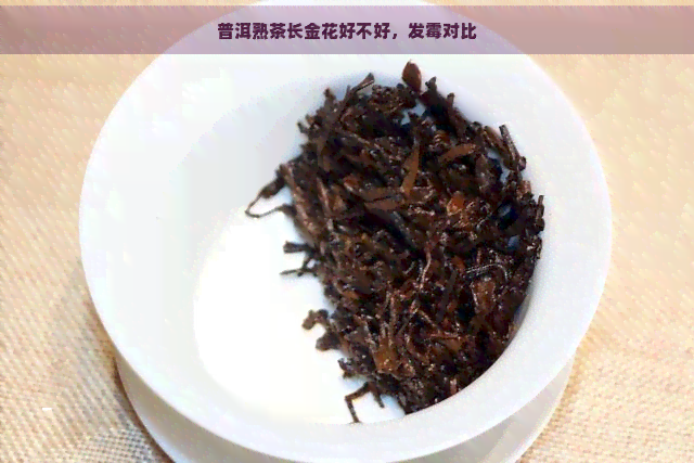 普洱熟茶长金花好不好，发霉对比