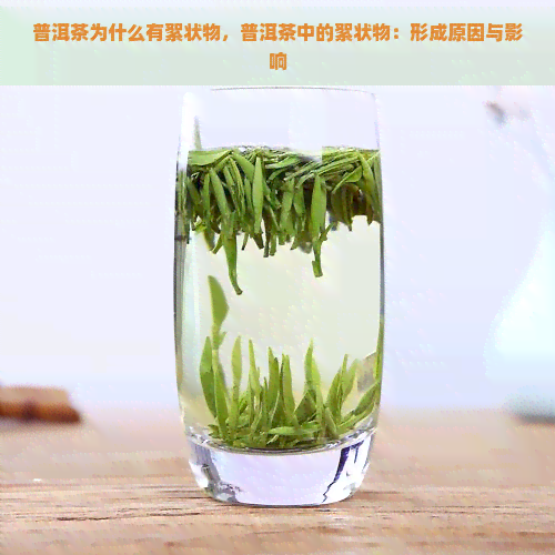 普洱茶为什么有絮状物，普洱茶中的絮状物：形成原因与影响