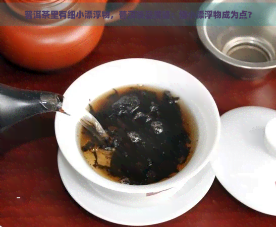 普洱茶里有细小漂浮物，普洱茶品质疑：细小漂浮物成为点？