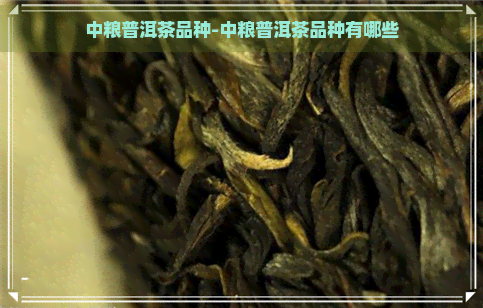 中粮普洱茶品种-中粮普洱茶品种有哪些