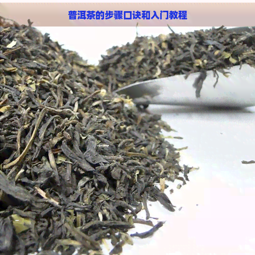 普洱茶的步骤口诀和入门教程