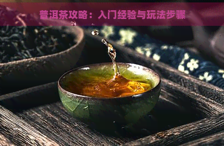 普洱茶攻略：入门经验与玩法步骤