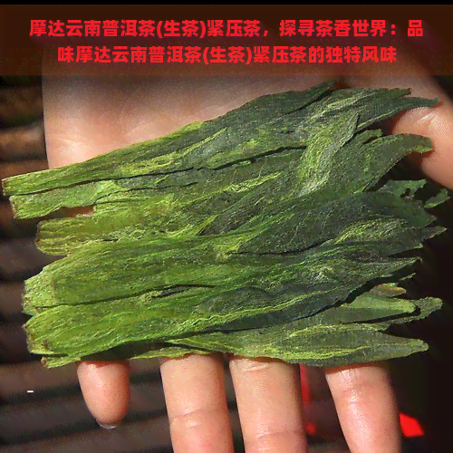 摩达云南普洱茶(生茶)紧压茶，探寻茶香世界：品味摩达云南普洱茶(生茶)紧压茶的独特风味