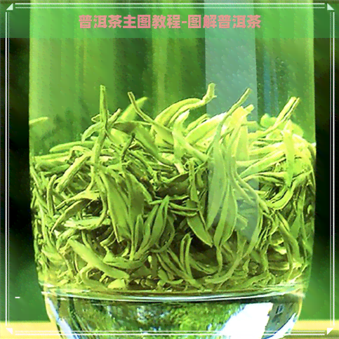 普洱茶主图教程-图解普洱茶