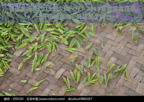 普洱龙润茶2019多少钱一斤，2019年普洱龙润茶一斤价格揭晓：具体多少钱？