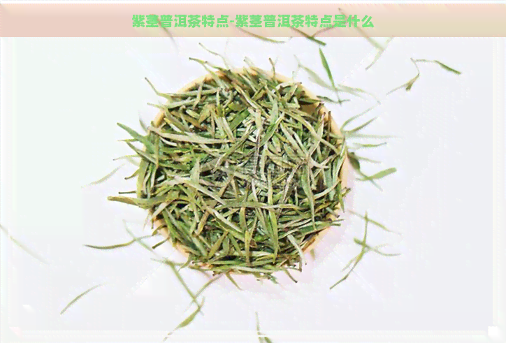 紫茎普洱茶特点-紫茎普洱茶特点是什么