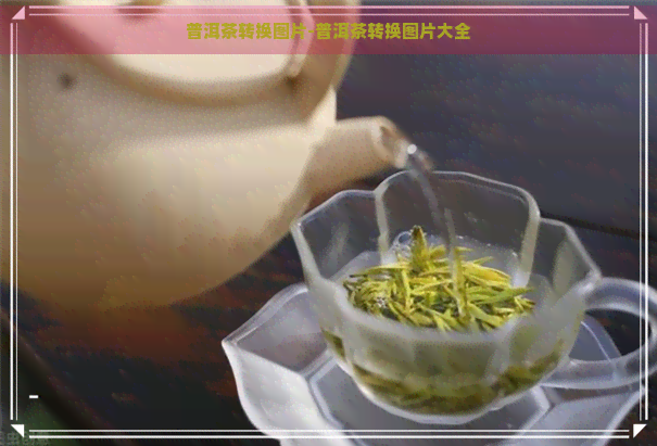 普洱茶转换图片-普洱茶转换图片大全