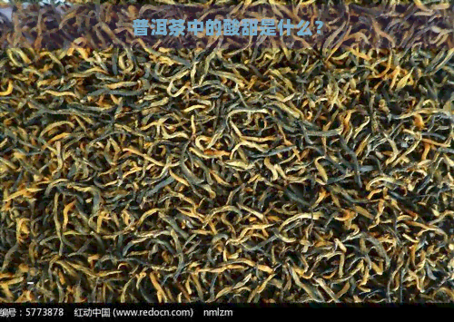 普洱茶中的酸甜是什么？