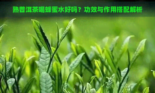 熟普洱茶喝蜂蜜水好吗？功效与作用搭配解析