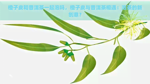 橙子皮和普洱茶一起泡吗，橙子皮与普洱茶相遇：泡茶的新创意？