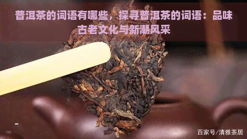 普洱茶的词语有哪些，探寻普洱茶的词语：品味古老文化与新潮风采