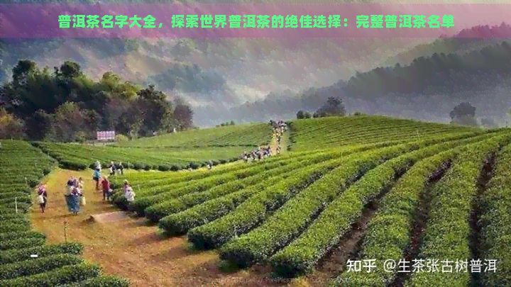 普洱茶名字大全，探索世界普洱茶的绝佳选择：完整普洱茶名单