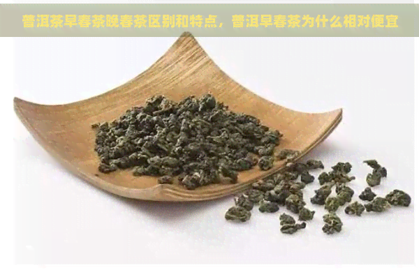 普洱茶早春茶晚春茶区别和特点，普洱早春茶为什么相对便宜