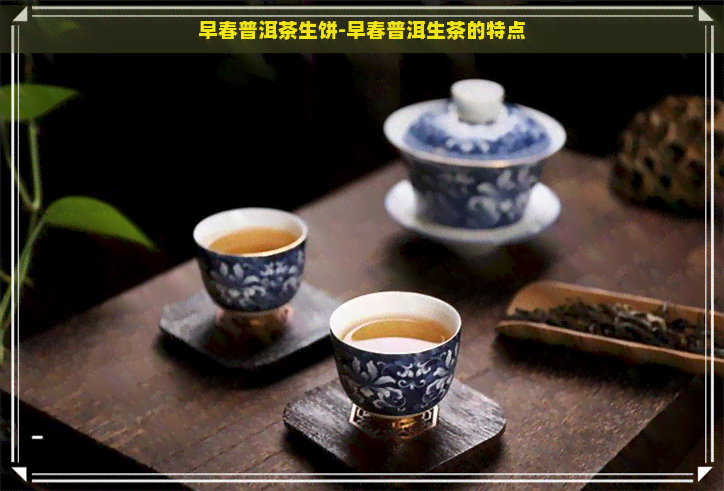 早春普洱茶生饼-早春普洱生茶的特点