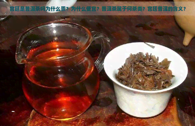 宫廷是普洱茶吗为什么贵？为什么便宜？普洱茶属于何茶类？宫廷普洱的含义？