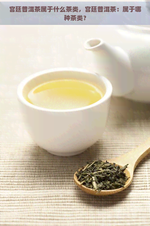 宫廷普洱茶属于什么茶类，宫廷普洱茶：属于哪种茶类？