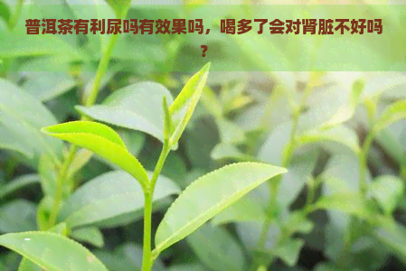 普洱茶有利尿吗有效果吗，喝多了会对肾脏不好吗？