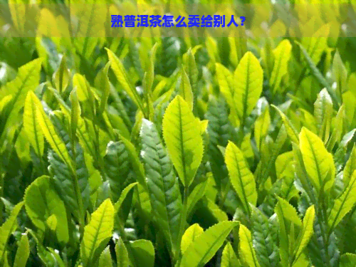 熟普洱茶怎么卖给别人？