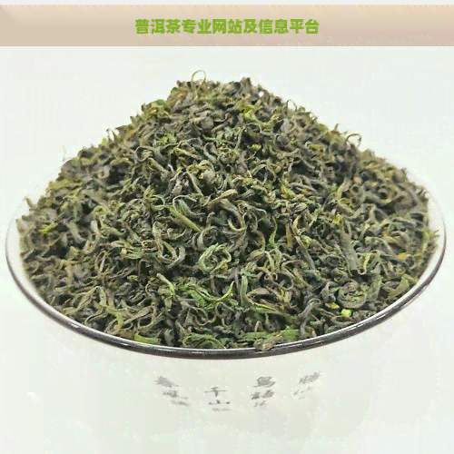 普洱茶专业网站及信息平台