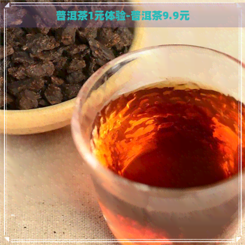 普洱茶1元体验-普洱茶9.9元