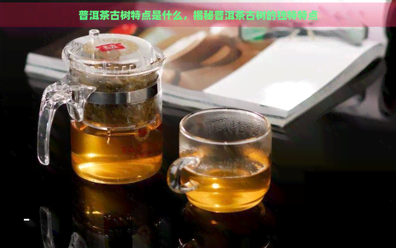 普洱茶古树特点是什么，揭秘普洱茶古树的独特特点